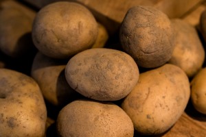 Kartoffeln vom Kartoffelhof